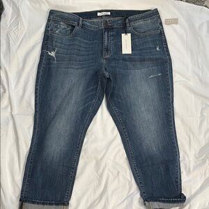 Flying Monkey Blue Ankle Cropped Jeans